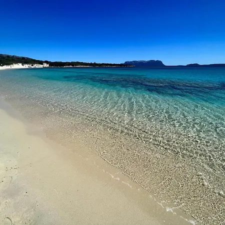 La Terrazza Sul Blu - Luddui Budoni Feriehus *